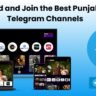 How to Find and Join the Best Punjabi Movies Telegram Channels