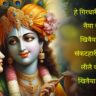 He Girdhari Krishna Murari Lyrics