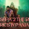 Pushpa 2 The Rule in panjabi