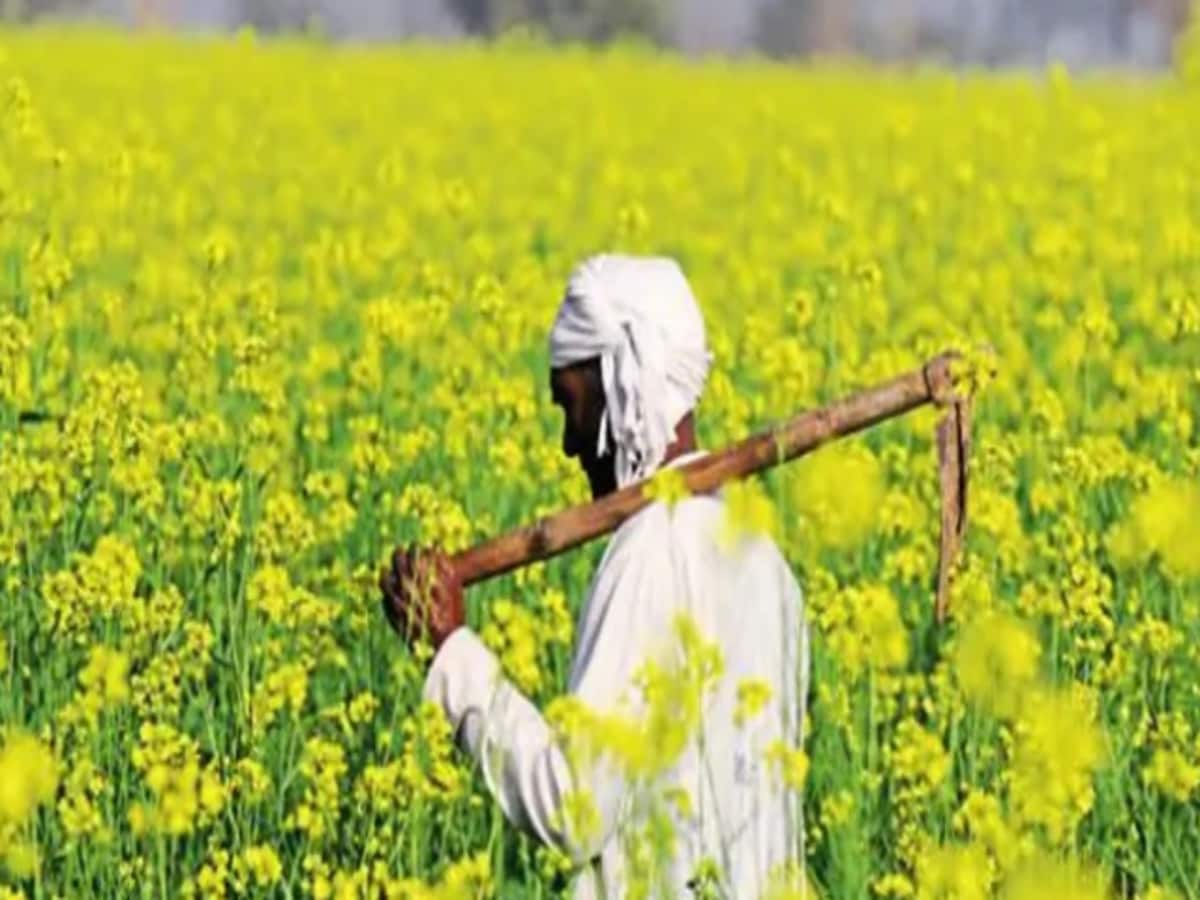 What was discussed about PM Kisan in the budget? Was there any change in the scheme?