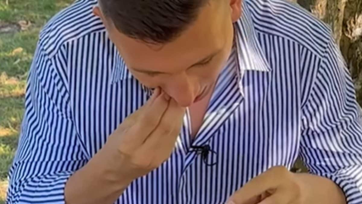 Watch: German Man Sets World Record, Cracks 44 Walnuts in a Minute