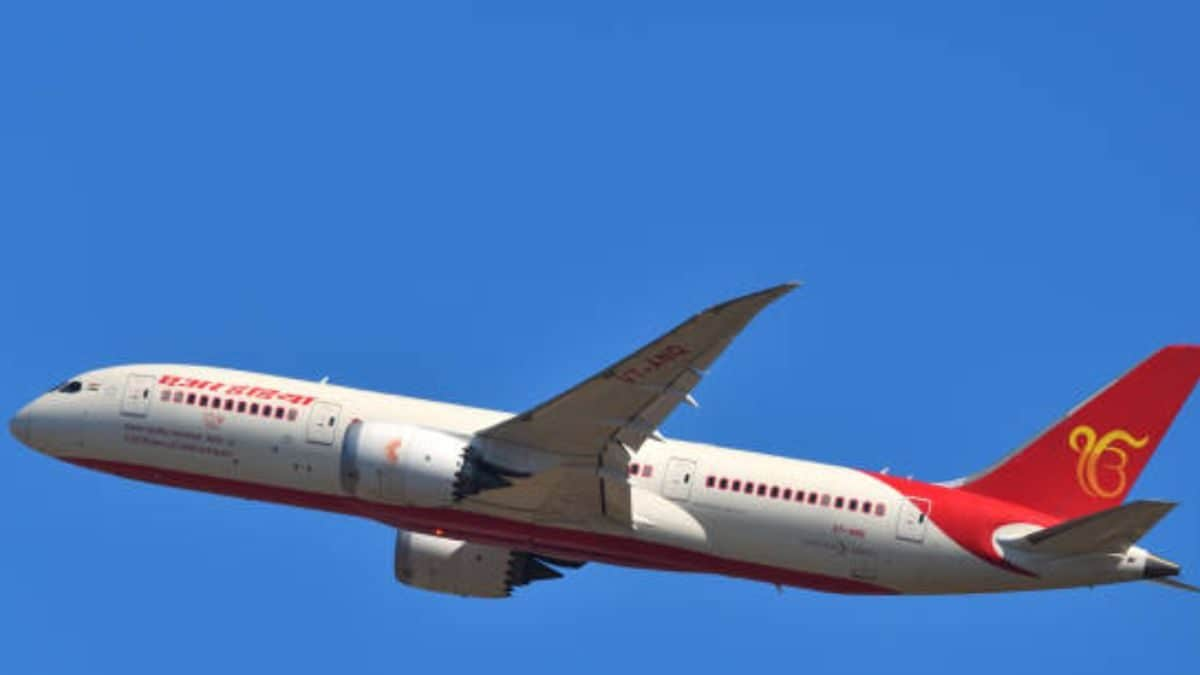 Pune Man Slams Air India After ‘Stinky’ Flight Delayed By 2 Hours: ‘Would Rather Take Bullock Cart’