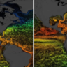 ‘Scary’ Changes: NASA Highlights Human Influence on Ocean Temperatures