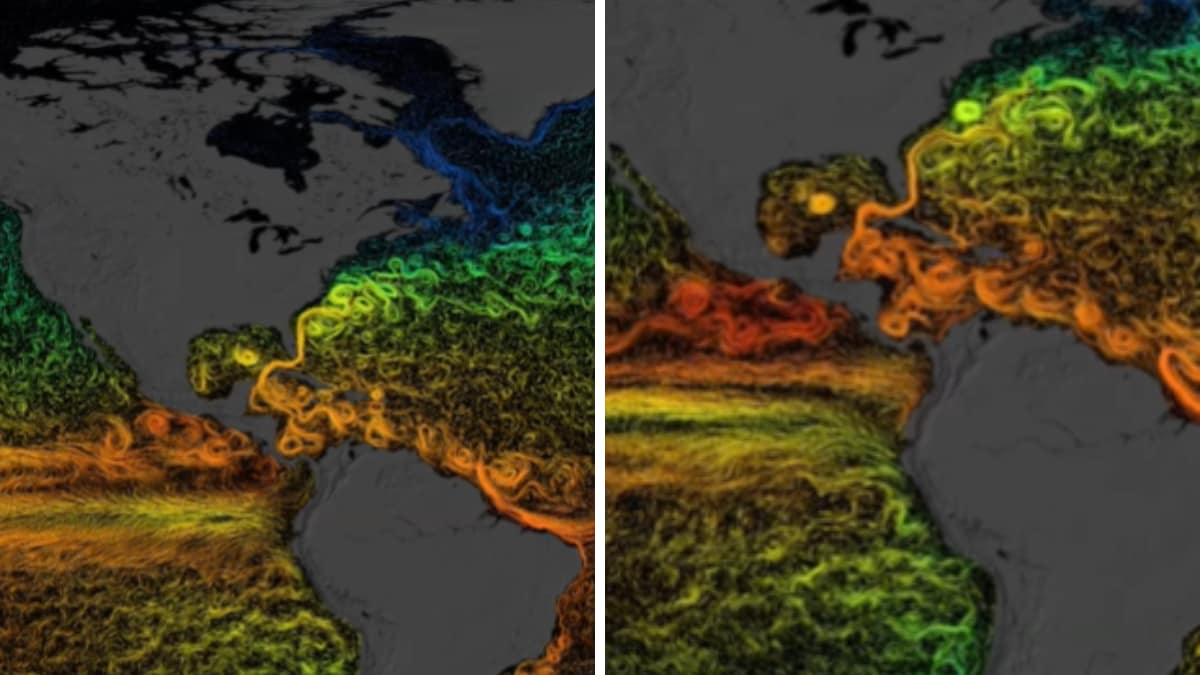 ‘Scary’ Changes: NASA Highlights Human Influence on Ocean Temperatures