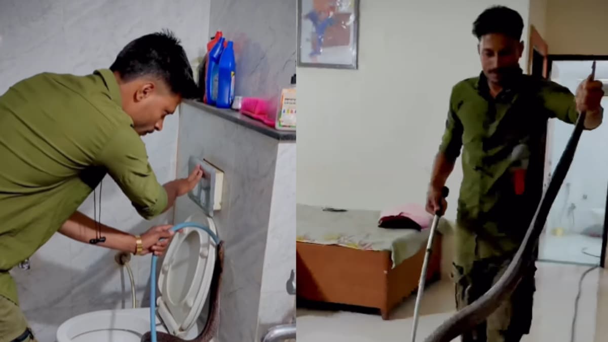 ‘New Fear Unlocked’: Viral Video Shows Cobra Coming Out Of Toilet Commode