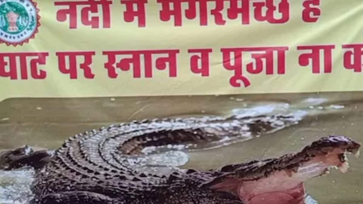 Crocodile Sighting At Sethani Ghat Prompts Security Measures In Narmadapuram