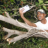 Fan Climbs Tree To Watch Team India’s Victory Parade.  Don’t Miss Virat Kohli, Rohit Sharma’s Reactions