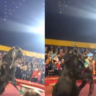 Old Video Of Circus Bear Attacking Handler Viral Again