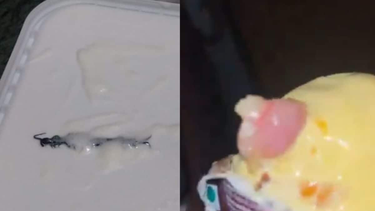 Dead Mouse In Hershey’s Syrup To Finger In Ice-cream, Bizarre Things Found In Food In 2024