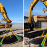 World’s Rarest Spade-Toothed Whale Found Dead On New Zealand Beach