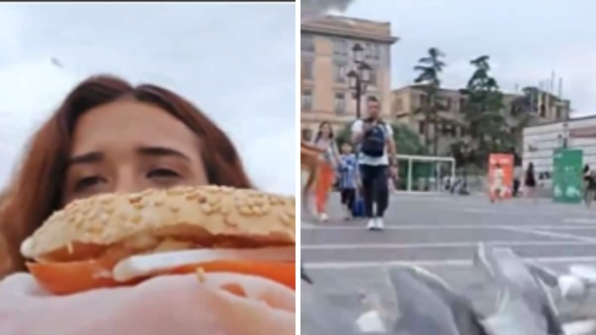 Seagulls Snatch Sandwich From Woman’s Hand In This Terrifying Yet Hilarious Video